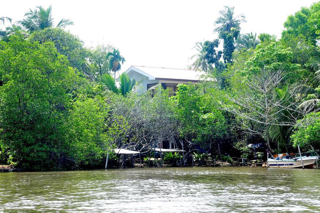 Little Swan Guest House Bentota Esterno foto