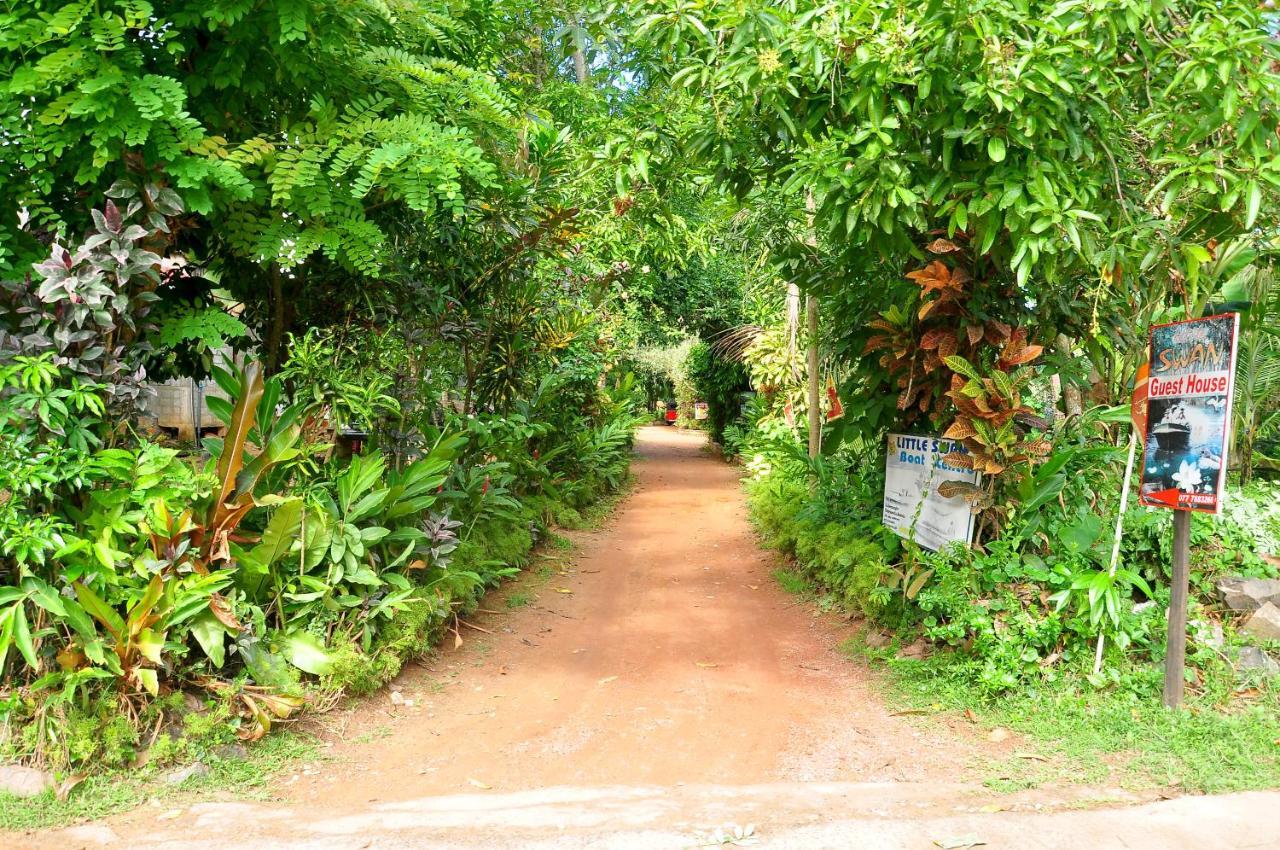 Little Swan Guest House Bentota Esterno foto